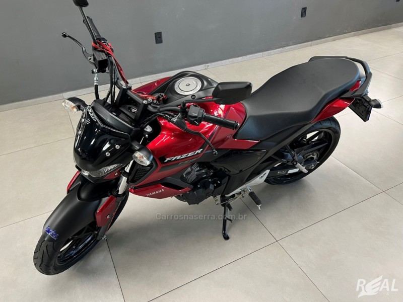 FAZER FZ15 ABS - 2024 - SAPIRANGA