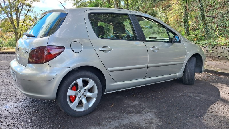 307 1.6 PRESENCE 16V FLEX 4P MANUAL - 2010 - CAXIAS DO SUL