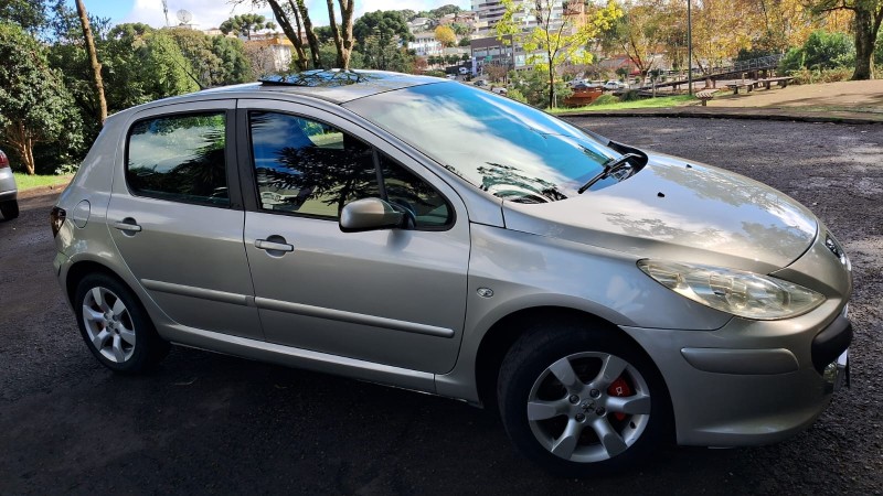 307 1.6 PRESENCE 16V FLEX 4P MANUAL - 2010 - CAXIAS DO SUL