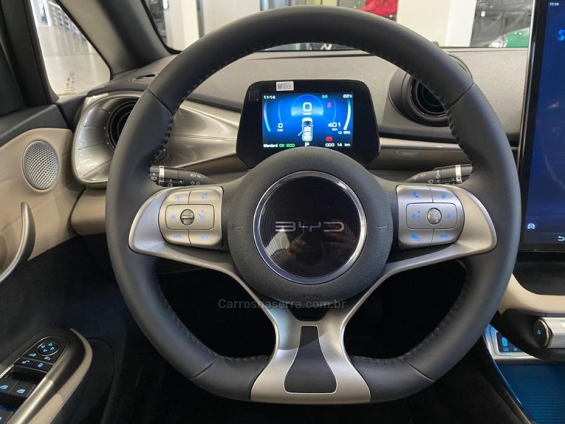 DOLPHIN ELÉTRICO 4P AUTOMÁTICO - 2025 - FLORES DA CUNHA