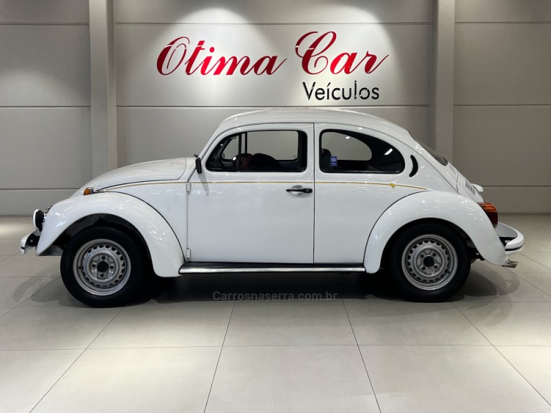 FUSCA 1.6 8V GASOLINA 2P MANUAL - 1996 - FLORES DA CUNHA
