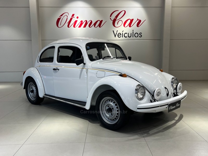 FUSCA 1.6 8V GASOLINA 2P MANUAL - 1996 - FLORES DA CUNHA
