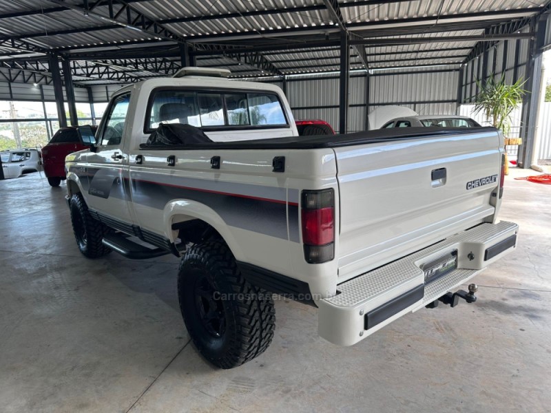 D20 4.0 CUSTOM DE LUXE CS 8V TURBO DIESEL 2P MANUAL - 1990 - CAMPO BOM