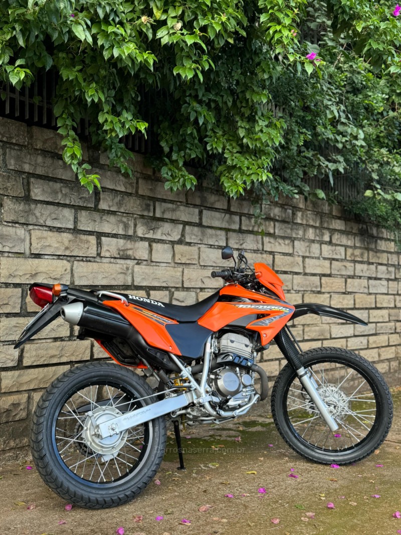 XR 250 TORNADO  - 2008 - LAJEADO