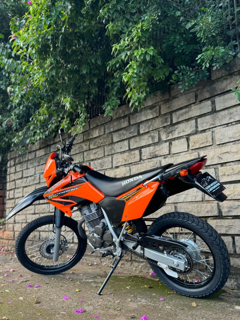 XR 250 TORNADO  - 2008 - LAJEADO