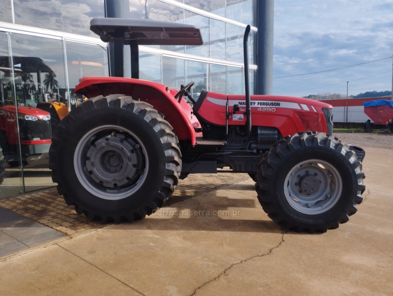 TRATOR 4290  - 2013 - GUAPORé