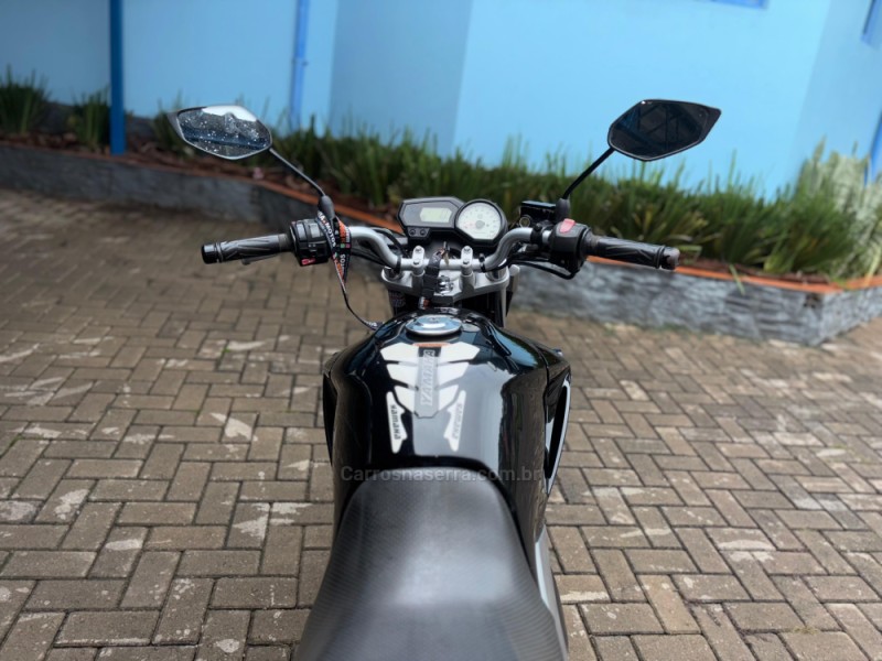 FAZER YS 250 - 2015 - CANELA