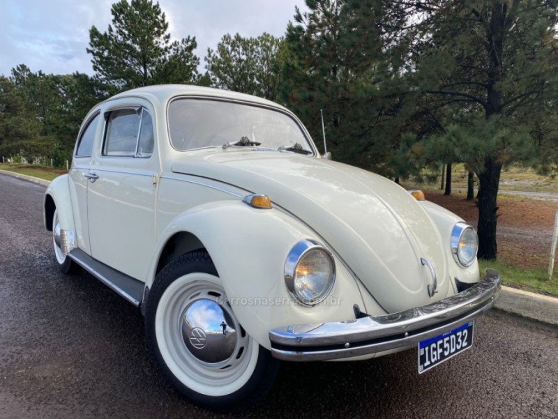 FUSCA  - 1974 - VACARIA