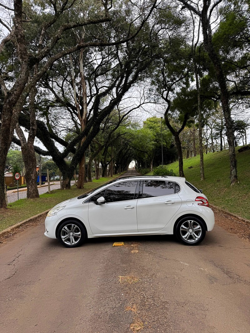208 1.6 GRIFFE 16V FLEX 4P AUTOMÁTICO - 2014 - PASSO FUNDO