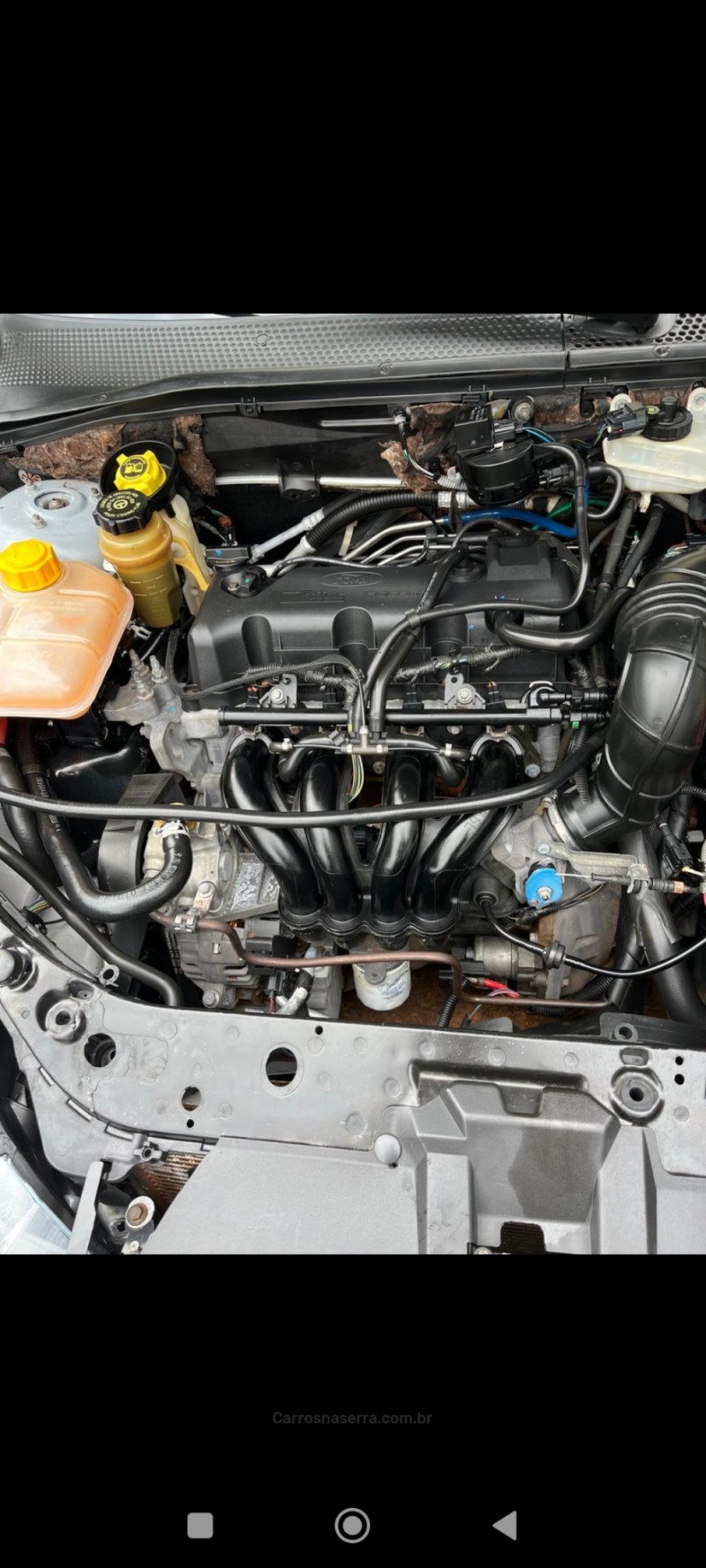 FOCUS 1.6 GL 8V FLEX 4P MANUAL - 2008 - FARROUPILHA