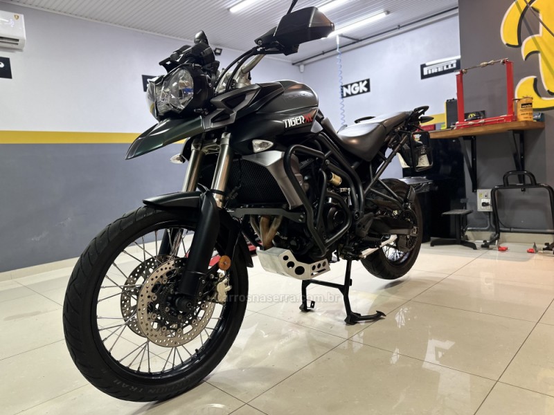 TIGER 800XC  - 2013 - CAXIAS DO SUL