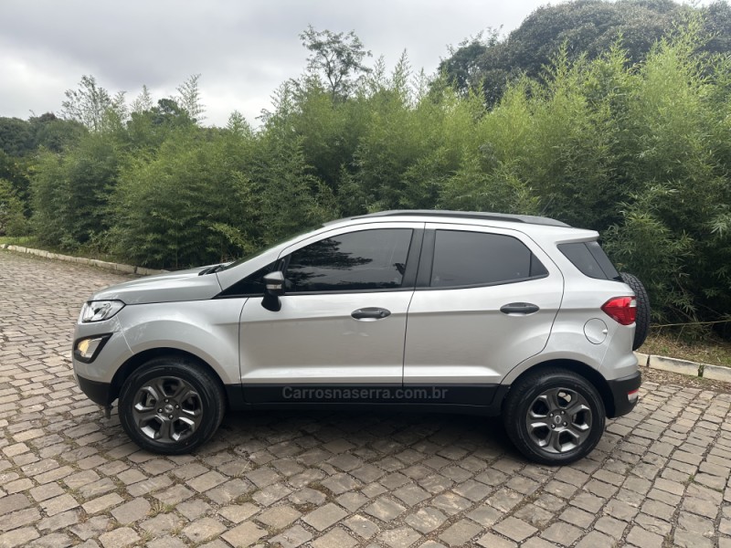 ECOSPORT 1.5 TIVCT FLEX FREESTYLE MANUAL  - 2019 - NOVA PRATA