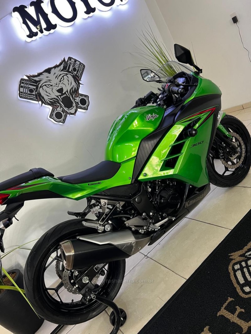 NINJA 300 ABS LIMITED EDITION - 2024 - CAXIAS DO SUL