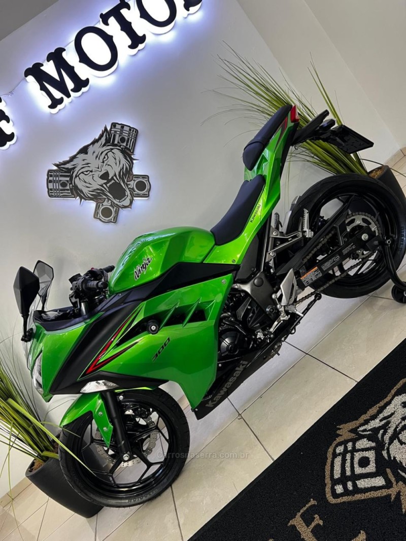 NINJA 300 ABS LIMITED EDITION - 2024 - CAXIAS DO SUL