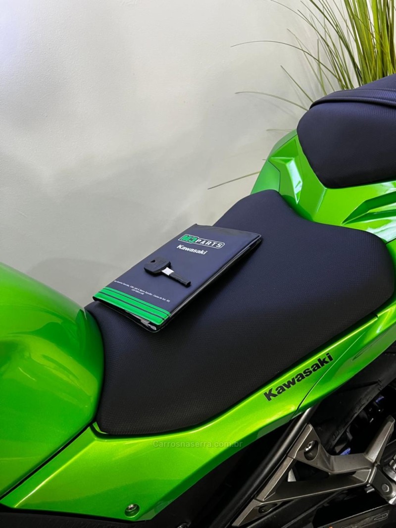 NINJA 300 ABS LIMITED EDITION - 2024 - CAXIAS DO SUL