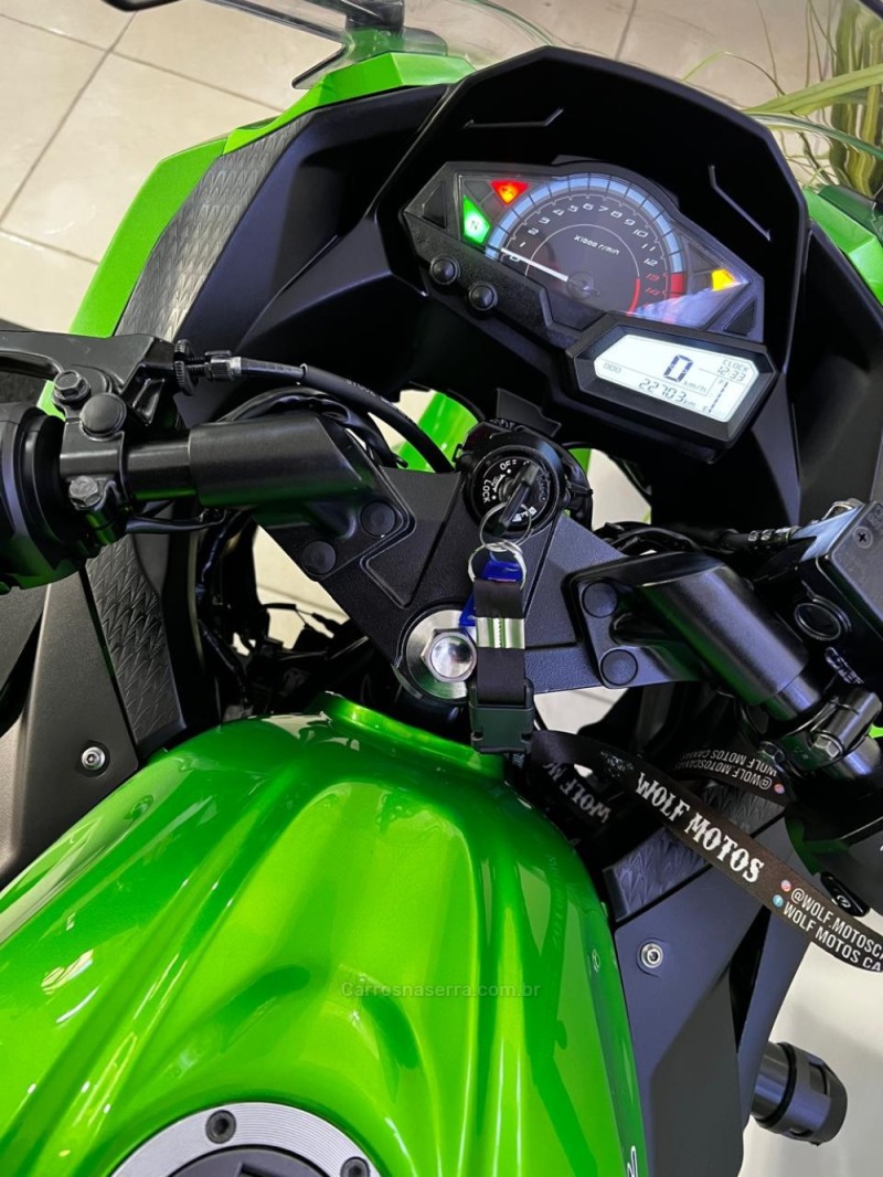 NINJA 300 ABS LIMITED EDITION - 2024 - CAXIAS DO SUL