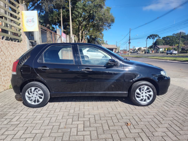 PALIO 1.0 MPI FIRE ECONOMY 8V FLEX 4P MANUAL - 2010 - CANELA