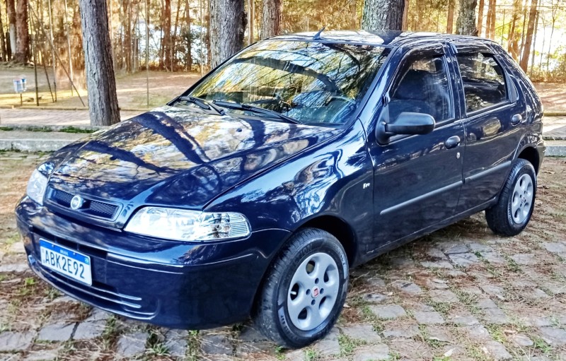 palio 1.0 mpi ex 8v gasolina 4p manual 2002 caxias do sul