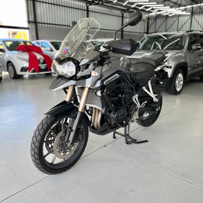 TIGER EXPLORER ABS - 2014 - CANOAS