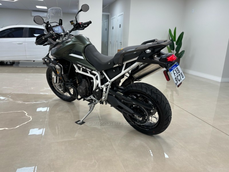 TIGER 900 RALLY  - 2021 - CARLOS BARBOSA
