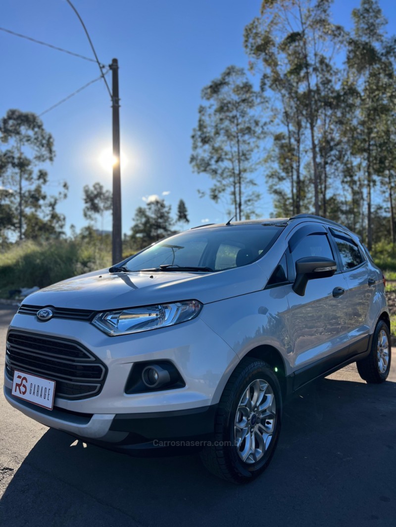ECOSPORT 1.6 FREESTYLE 16V FLEX 4P MANUAL - 2014 - NOVO HAMBURGO