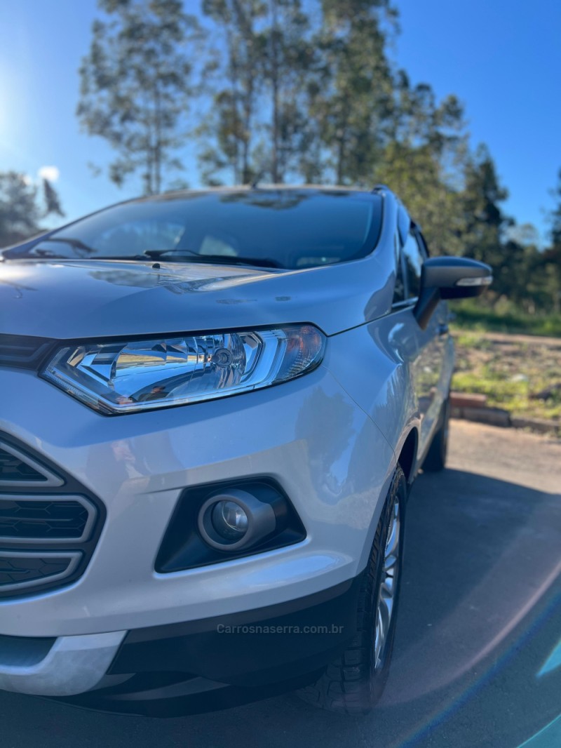 ECOSPORT 1.6 FREESTYLE 16V FLEX 4P MANUAL - 2014 - NOVO HAMBURGO