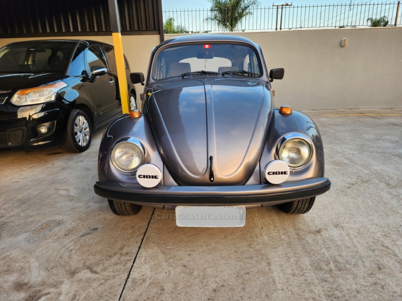 FUSCA 1.6 8V GASOLINA 2P MANUAL - 1996 - MONTENEGRO