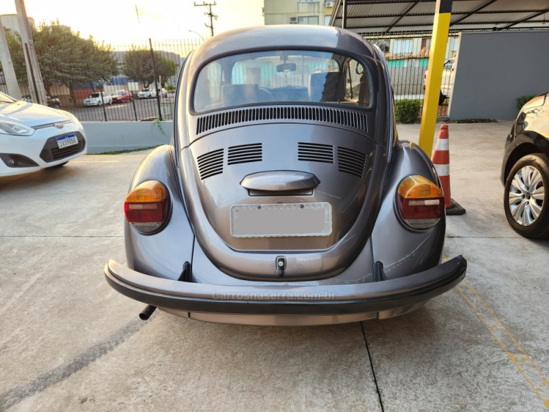 FUSCA 1.6 8V GASOLINA 2P MANUAL - 1996 - MONTENEGRO