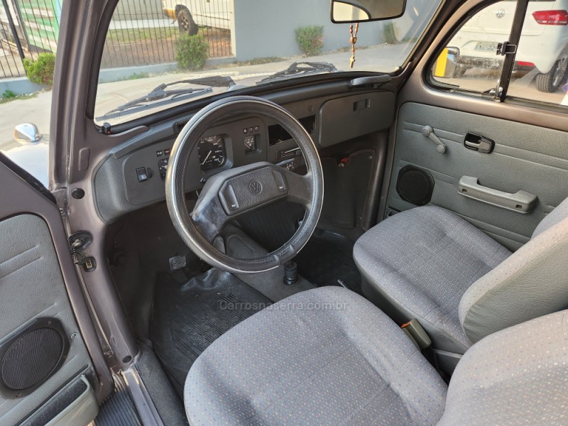 FUSCA 1.6 8V GASOLINA 2P MANUAL - 1996 - MONTENEGRO