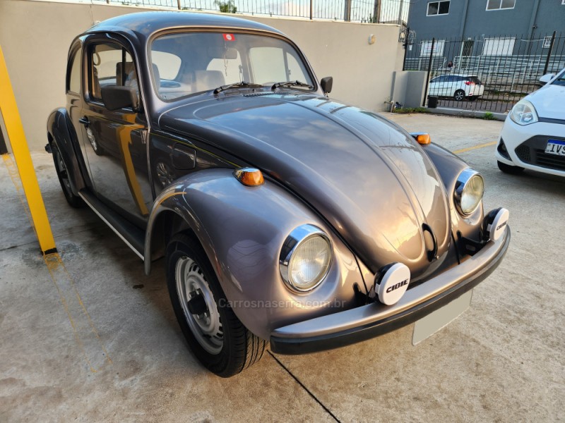 FUSCA 1.6 8V GASOLINA 2P MANUAL - 1996 - MONTENEGRO