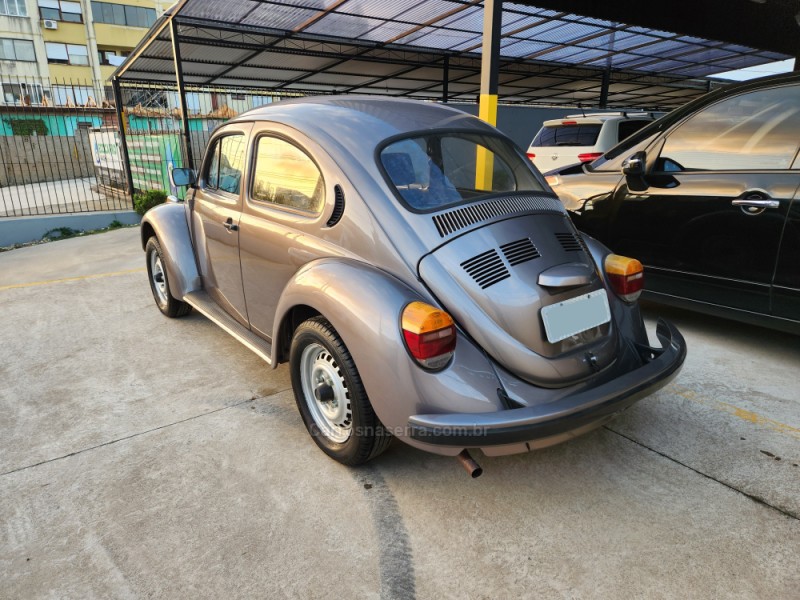 FUSCA 1.6 8V GASOLINA 2P MANUAL - 1996 - MONTENEGRO