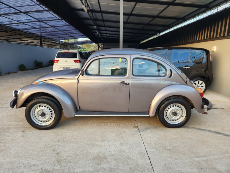 FUSCA 1.6 8V GASOLINA 2P MANUAL - 1996 - MONTENEGRO