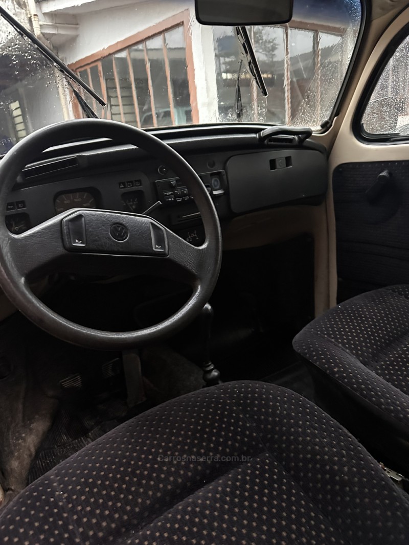 FUSCA 1.6 8V GASOLINA 2P MANUAL - 1994 - PORTãO