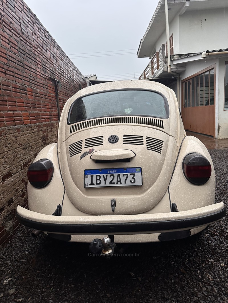 FUSCA 1.6 8V GASOLINA 2P MANUAL - 1994 - PORTãO
