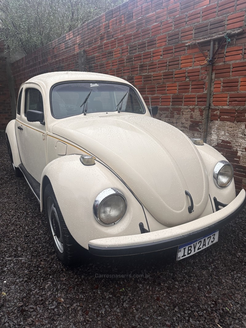FUSCA 1.6 8V GASOLINA 2P MANUAL - 1994 - PORTãO
