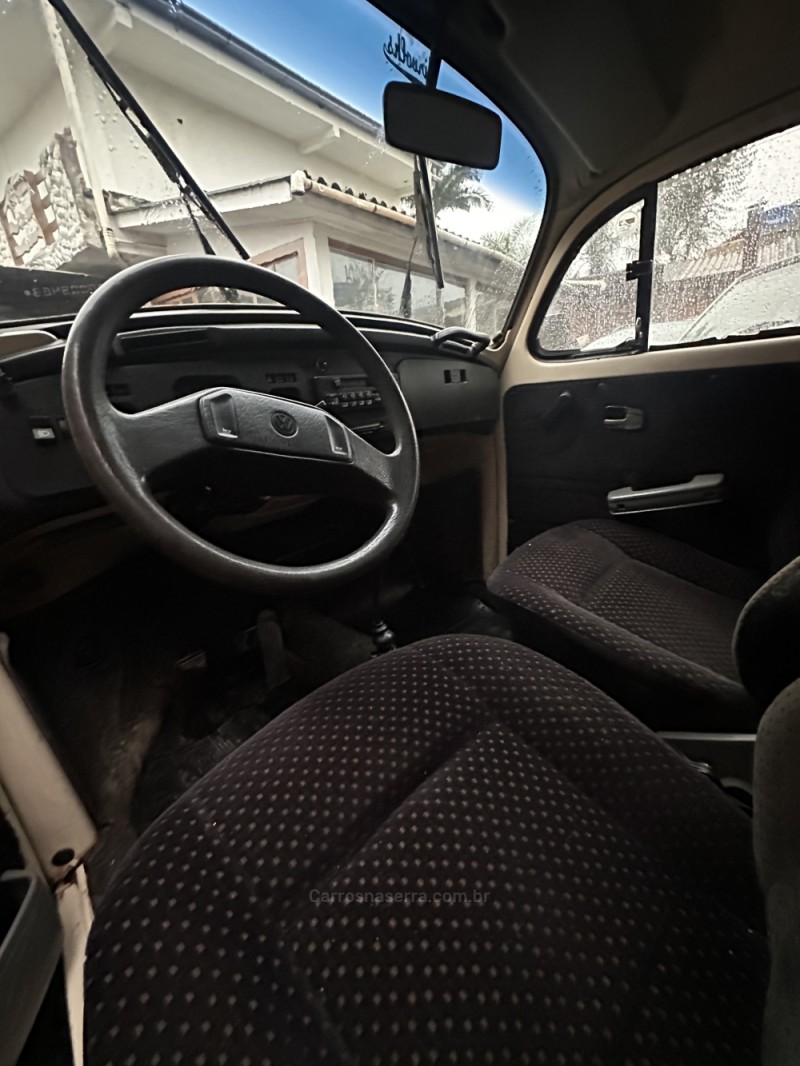 FUSCA 1.6 8V GASOLINA 2P MANUAL - 1994 - PORTãO