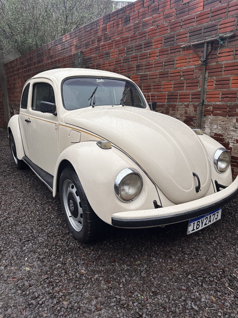 fusca 1.6 8v gasolina 2p manual 1994 portao