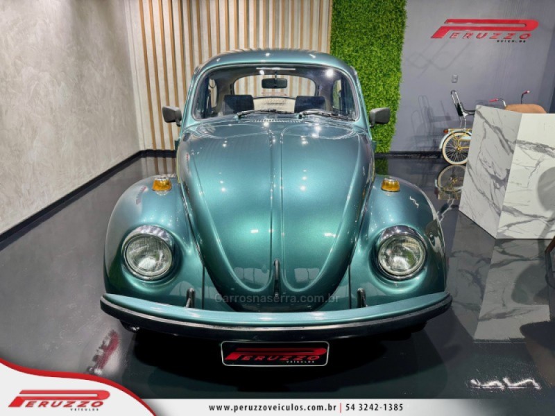 FUSCA 1.6 8V GASOLINA 2P MANUAL - 1994 - NOVA PRATA