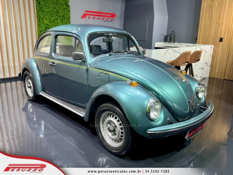 FUSCA 1.6 8V GASOLINA 2P MANUAL - 1994 - NOVA PRATA