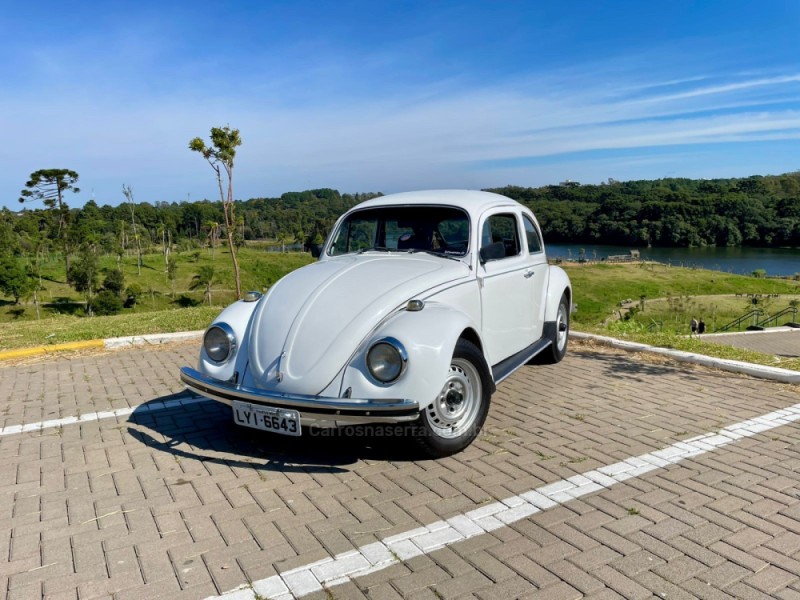 FUSCA 1.6 8V GASOLINA 2P MANUAL