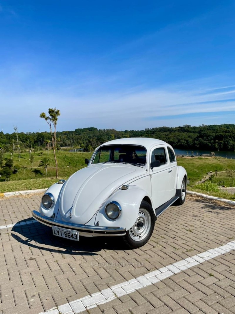 FUSCA 1.6 8V GASOLINA 2P MANUAL - 1986 - CAXIAS DO SUL
