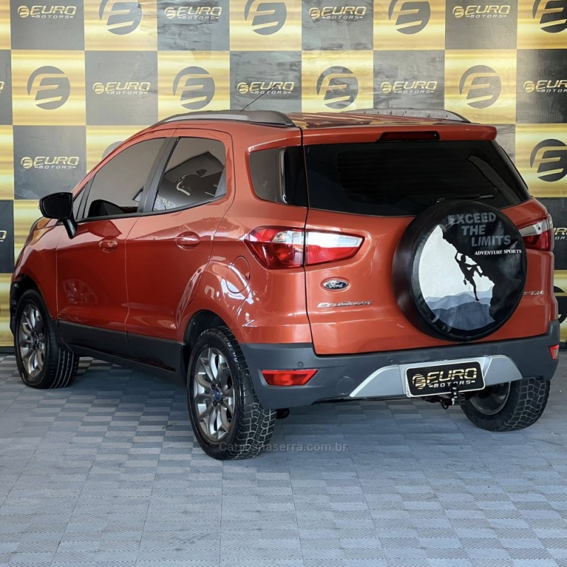 ECOSPORT 1.6 FREESTYLE 8V FLEX 4P MANUAL - 2013 - PORTãO