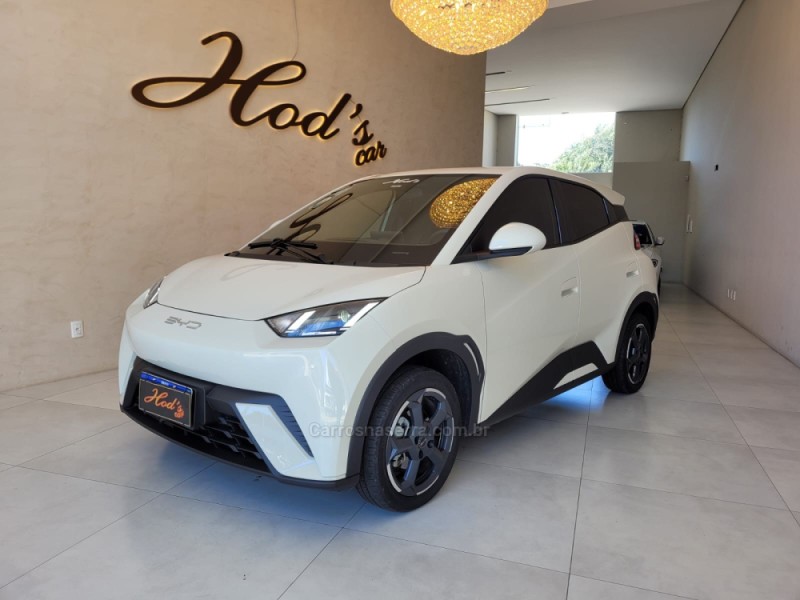 DOLPHIN MINI ELÉTRICO 4P AUTOMÁTICO - 2025 - CANELA
