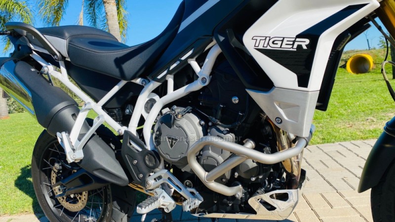 TIGER 900 RALLY  - 2022 - DOIS IRMãOS