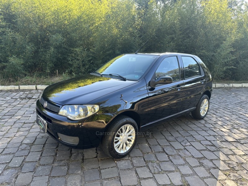 palio 1.0 mpi fire celebration economy 8v flex 4p manual 2010 nova prata