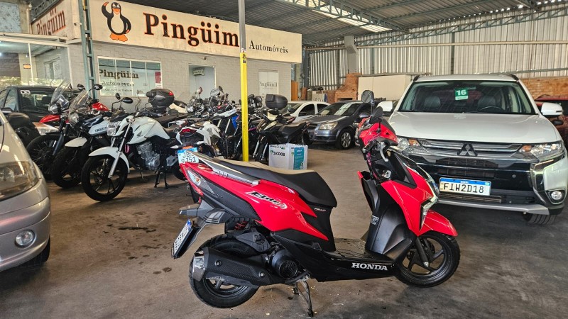 ELITE 125 - 2024 - CAXIAS DO SUL