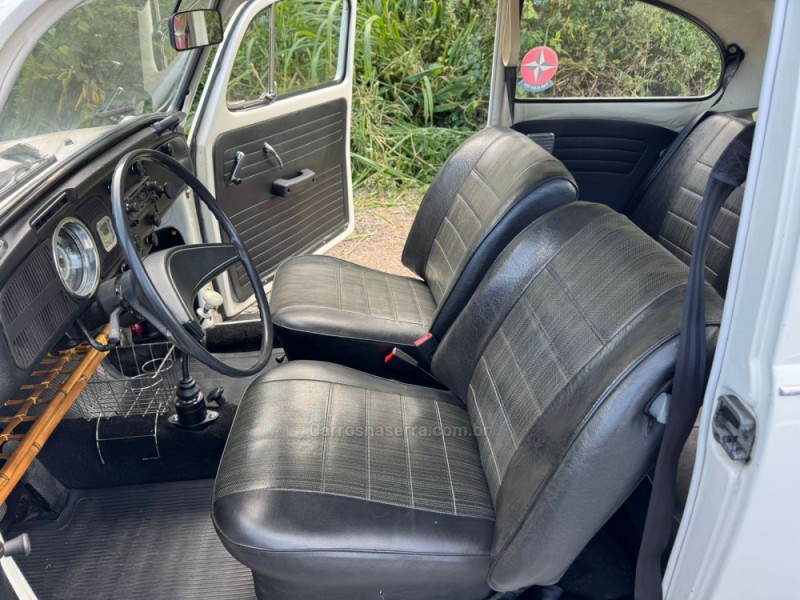 FUSCA 1.3 L 8V GASOLINA 2P MANUAL - 1976 - NOVA PETRóPOLIS