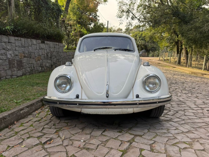 FUSCA 1.3 L 8V GASOLINA 2P MANUAL - 1976 - NOVA PETRóPOLIS