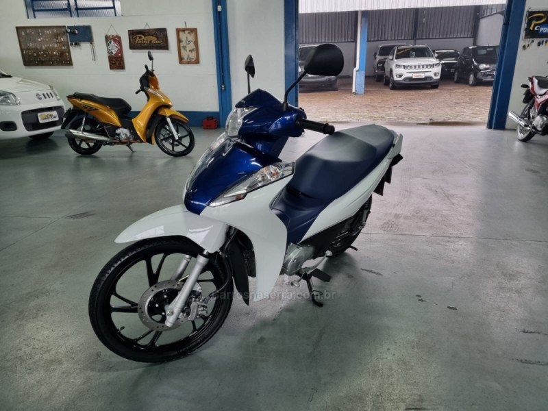 BIZ 125  - 2023 - VACARIA