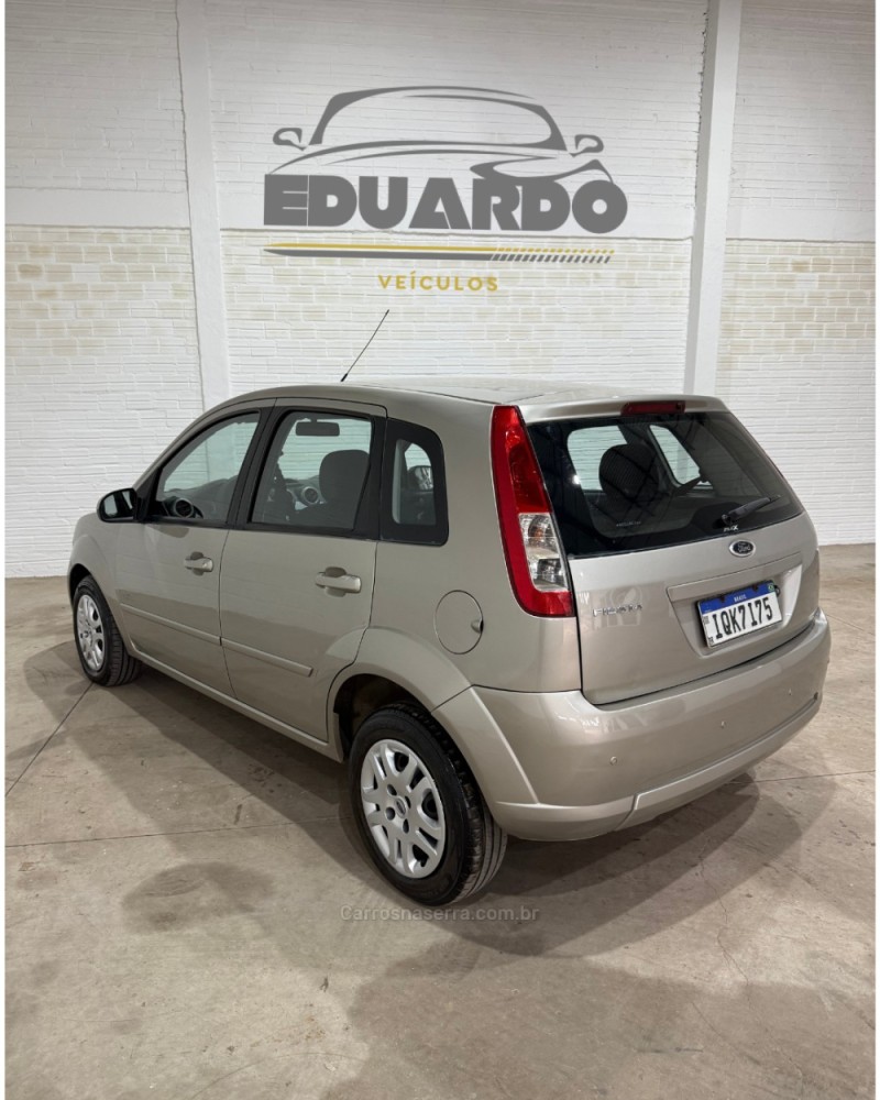FIESTA 1.6 MPI CLASS HATCH 8V FLEX 4P MANUAL - 2010 - ARROIO DO MEIO